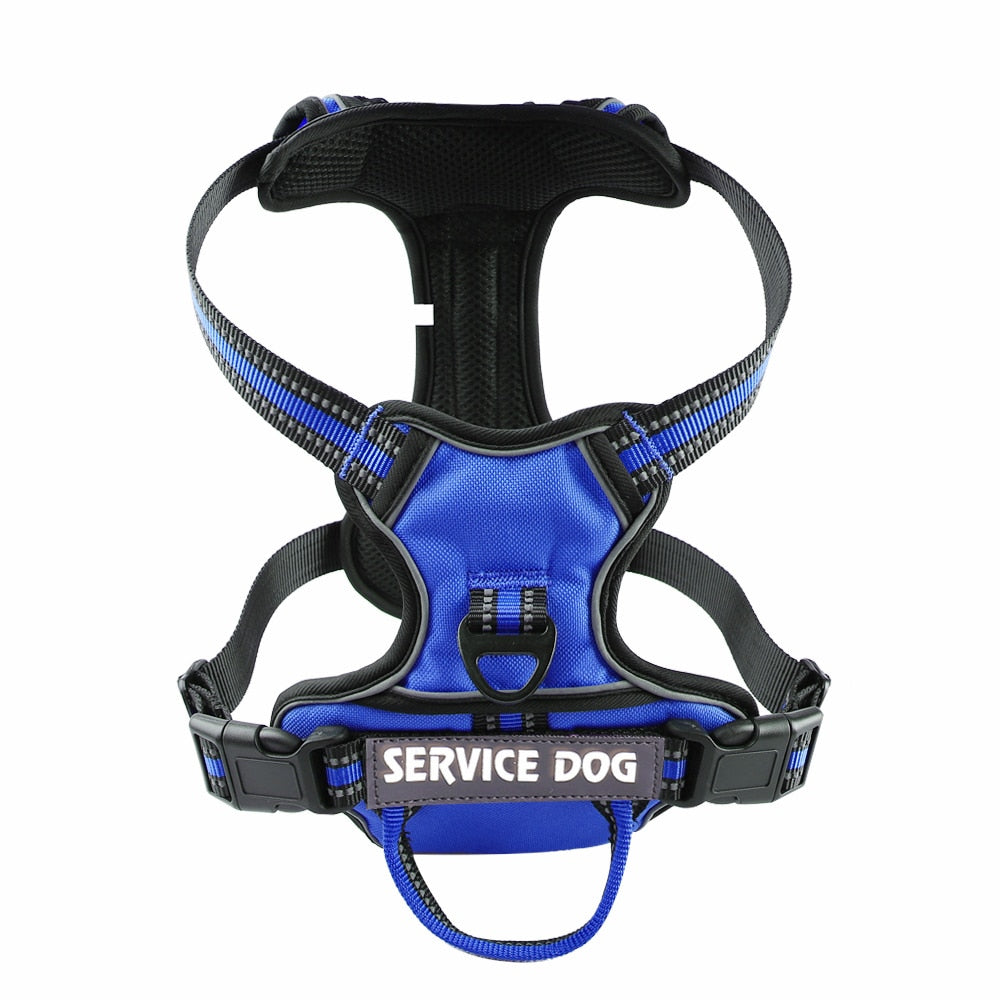 Reflective Harness