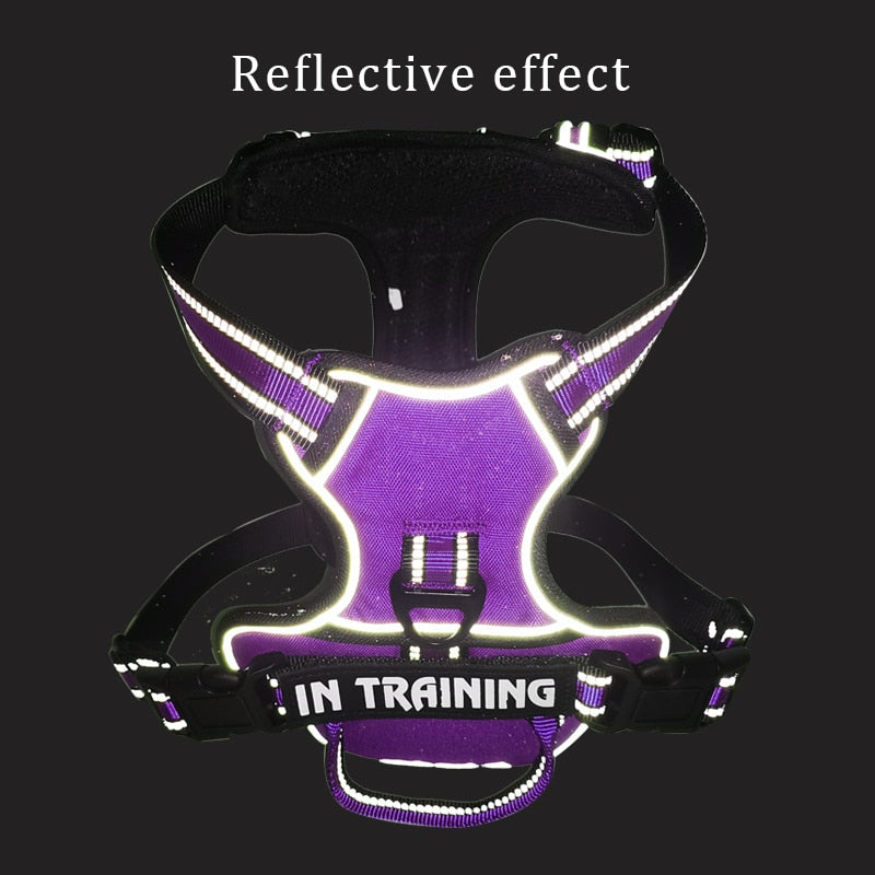 Reflective Harness