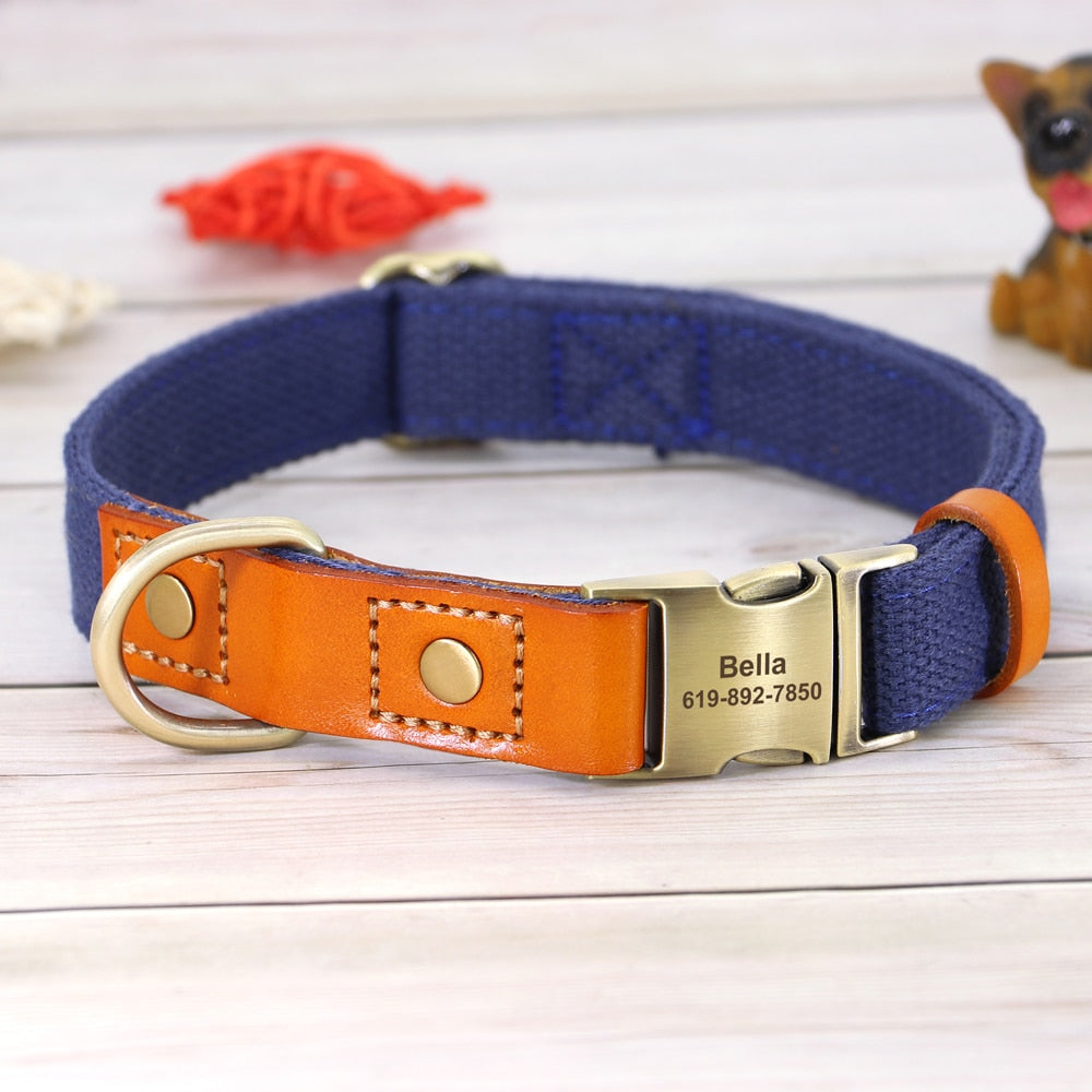 Leather accented leash and collar